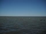 dscn2185