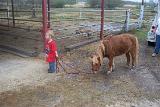 Picture 0421