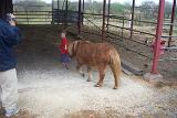 Picture 0422