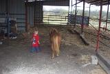 Picture 0423