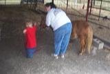 Picture 0424