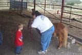 Picture 0425