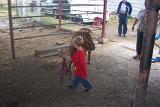 Picture 0426