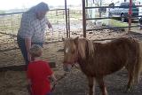 Picture 0427