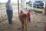 Picture 0428