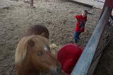 Picture 0433