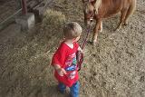 Picture 0436