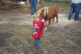 Picture 0443