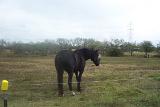 Picture 0447