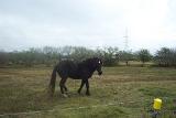 Picture 0448