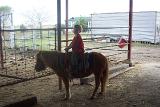 Picture 0458