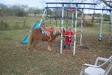 Picture 0459