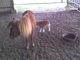 Photo 050208 001