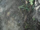 DSCN3602