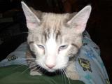DSCN0278
