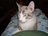DSCN0279