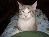 DSCN0280