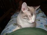 DSCN0281