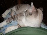 DSCN0283