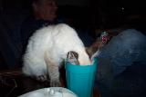 Picture 0373