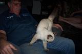 Picture 0374