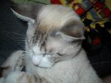 dscn0447