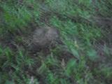 dscn0686