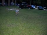 dscn0690