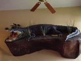 IMG 1470