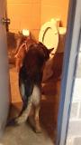 IMG 1479