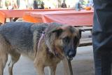 IMG 5689