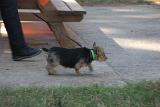 IMG 5709