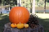 IMG 5735