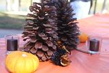 IMG 5746