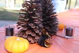 IMG 5747