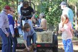 IMG 5772