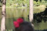 IMG 5798