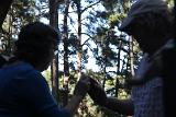 IMG 5840