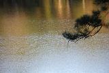 IMG 5851