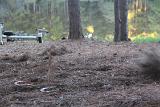 IMG 5870