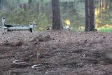 IMG 5871