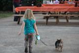 IMG 5906