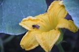 IMG 5928