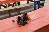 IMG 5971