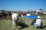 Picture 0011