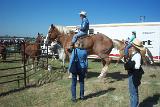 Picture 0013