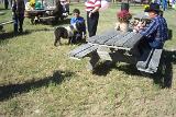 Picture 0015