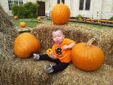 IMG 20121020 114337