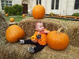 IMG 20121020 114347