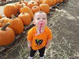 IMG 20121020 114846